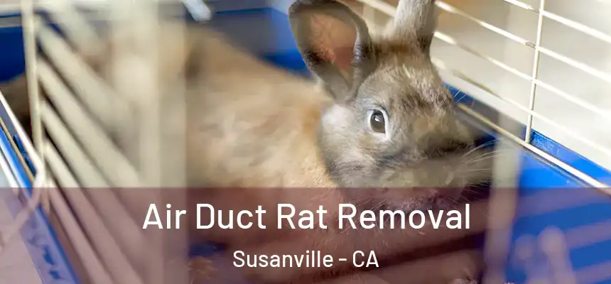  Air Duct Rat Removal Susanville - CA