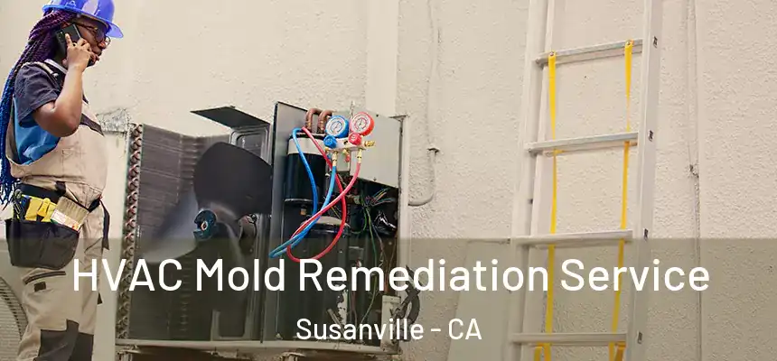  HVAC Mold Remediation Service Susanville - CA