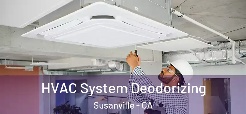  HVAC System Deodorizing Susanville - CA