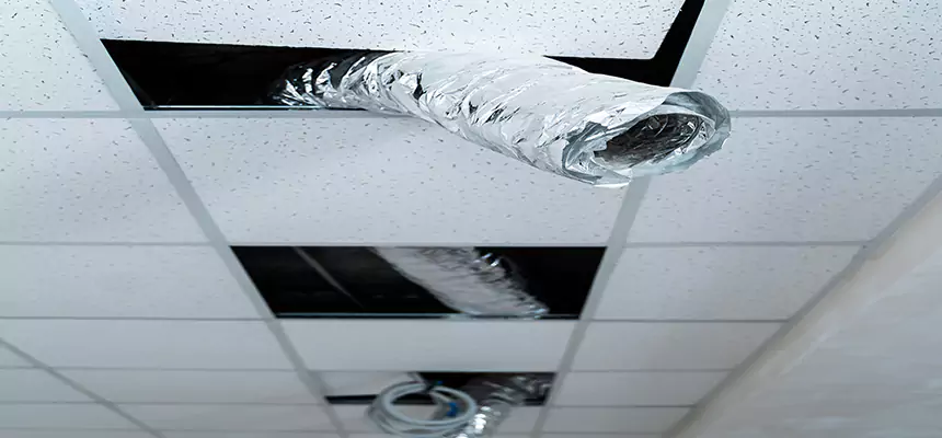 Affordable HVAC Sanitizing After Pest Removal in Susanville