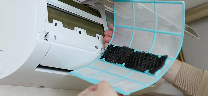 Gentle Ductwork Odor-Control Pet Dander Duct Cleaning in Susanville, CA