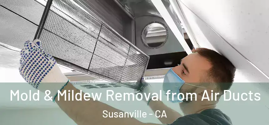  Mold & Mildew Removal from Air Ducts Susanville - CA