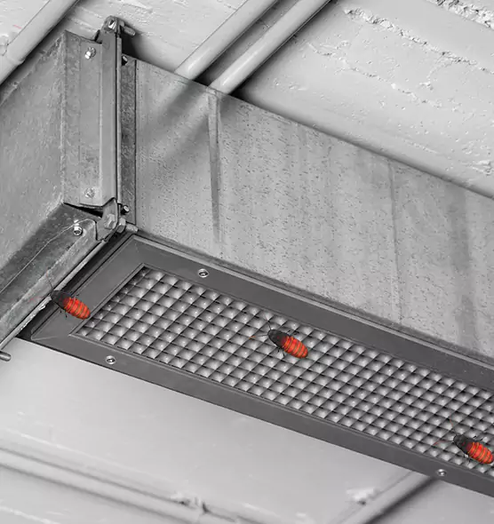 About Air Duct Cockroach Removal in Susanville, CA