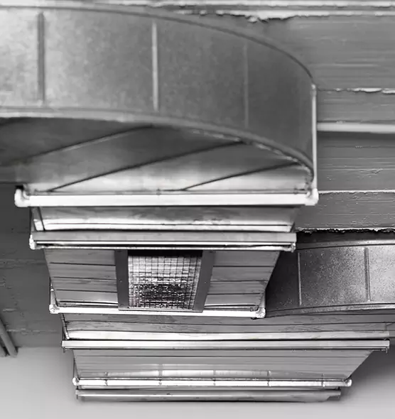 Professional Air Duct Pet Hair Removal in Susanville, CA