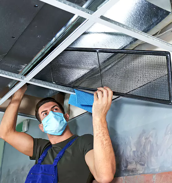 Professional Air Duct Pollen Cleaning in Susanville, CA