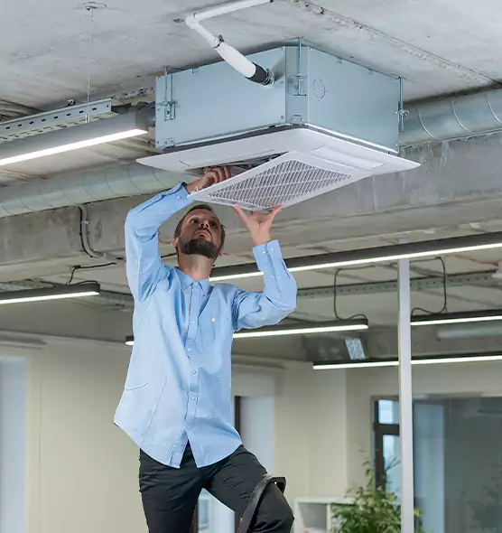 Advanced Rodent Droppings In Vents in Susanville, CA