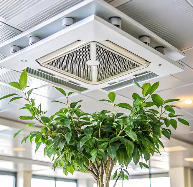 Why Homeowners & Businesses Trust Us in Susanville, CA?