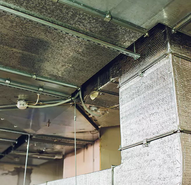 Why Homeowners & Businesses Trust Us in Susanville, CA?